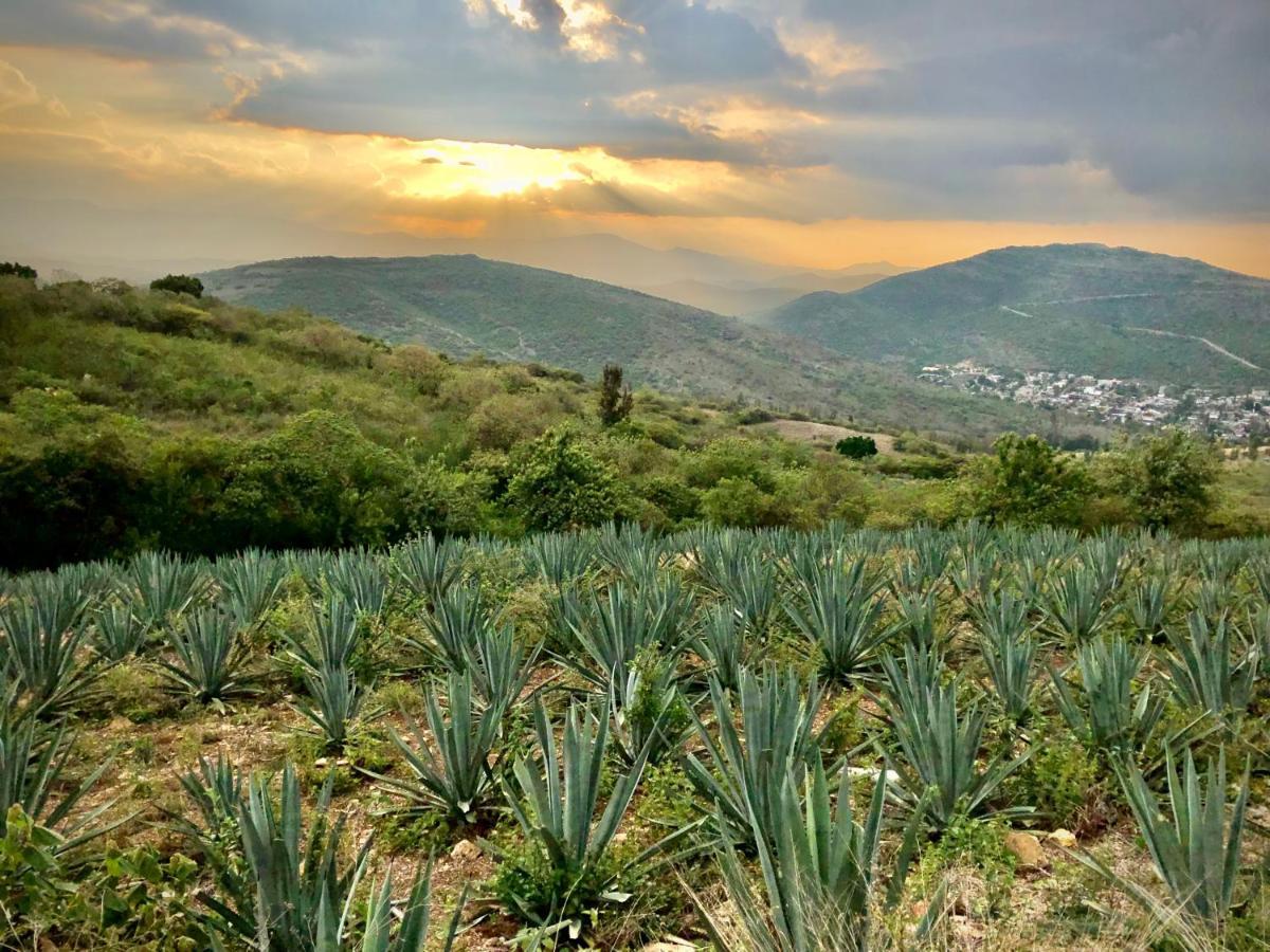 Beautiful Apartment In Oaxaca City'S Best Location Εξωτερικό φωτογραφία